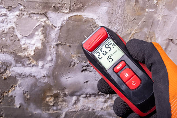 Mold Testing and Removal in Hainesville, IL